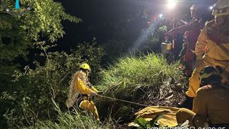 命大！老夫妻開車「墜50米深山谷」卡樹枝