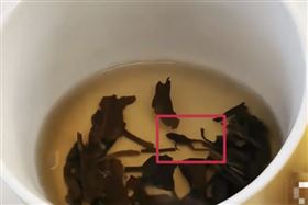 知名手搖飲出事！她喝到「青蛙全屍」爆吐（圖／翻攝微博）