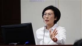 ▲民進黨立委林岱樺。（圖／翻攝自林岱樺臉書）