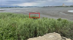 五股溼地移工發現的男屍。（圖／民眾提供） 