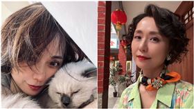 黃婕菲。(圖／翻攝自臉書)