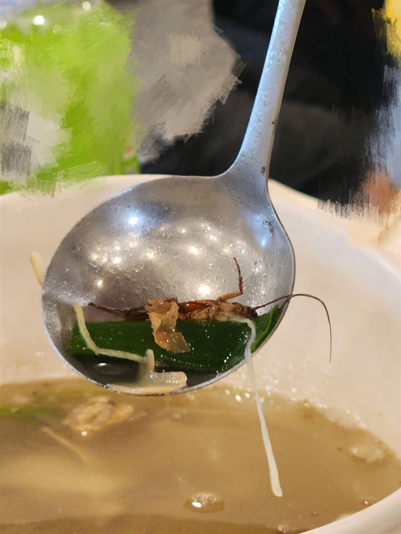 進香團午餐驚見「全形小強蟑螂湯」,婆婆媽媽決定與人為善不計較逼哭店家,強烈要求以後一定要注意衛生把關。(圖/網友提供)