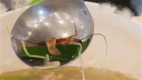 ▲進香團午餐驚見「全形小強蟑螂湯」，婆婆媽媽決定與人為善不計較逼哭店家，強烈要求以後一定要注意衛生把關。（圖／網友提供） 