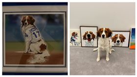 ▲卡牌遊戲《遊戲王》替大谷翔平的愛犬Dekopin特製遊戲卡。（圖／翻攝自大谷翔平IG）