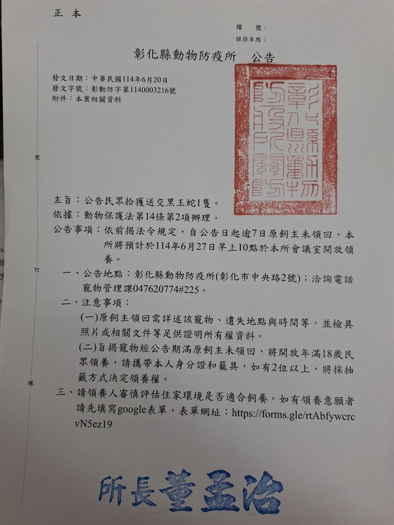 墨西哥黑王蛇是常見寵物蛇，若飼主逾期未領回，將於27日開放認養。（圖／彰化縣動防所提供）