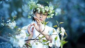 ▲金星；楊麗萍（圖／翻攝自微博）