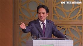 賴清德（圖／翻攝畫面）
