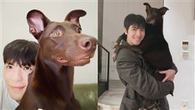 蕭敬騰,寵物,愛犬,嘎比,過世,Summer,台北（圖／蕭敬騰IG）