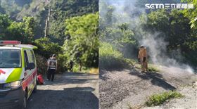 高雄市,桃源區,蜂螫傷,隧道,婦人,雙手,塔拉拉魯芙隧道,虎頭蜂▲圖片描述。（圖／翻攝畫面）