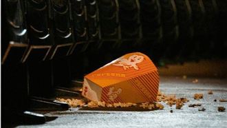 食物掉地5秒OK？名醫驚答：「它」最可怕