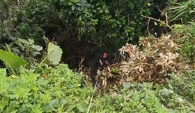 太平，長龍路三段，台中老伯摔邊坡昏迷，米酒被菸蒂點燃，雜草悶燒，離奇喪命（圖／翻攝畫面）