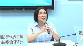 ▲陳玉珍出席國民黨立法院黨團記者會。（圖／翻攝畫面）