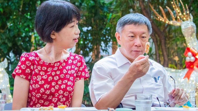 喊柯被關到腎壞了　陳佩琪控訴民進黨凌虐