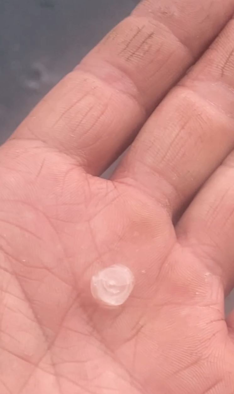 民眾沒見過冰雹超嗨，不畏風雨撐傘跑到外頭。（圖／民眾提供）
