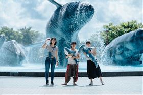 鯊魚透明卵鞘魅力爆棚！海生館「福爾摩鯊之旅」6/28登場（業配勿用）