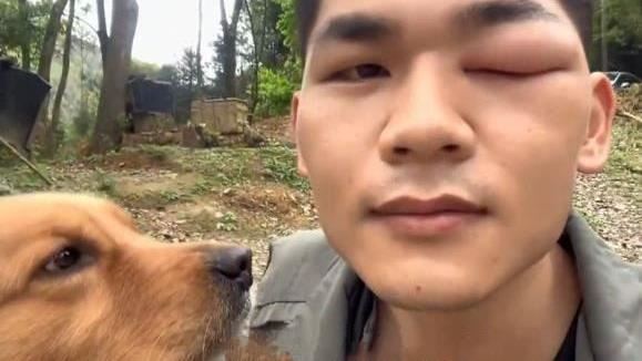 狗叼馬蜂窩當禮物！主人：這不是第一次了