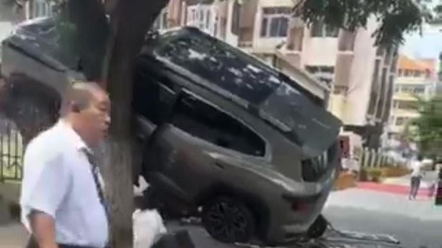 北京汽車直撞小學生　肇事車輛卡樹上