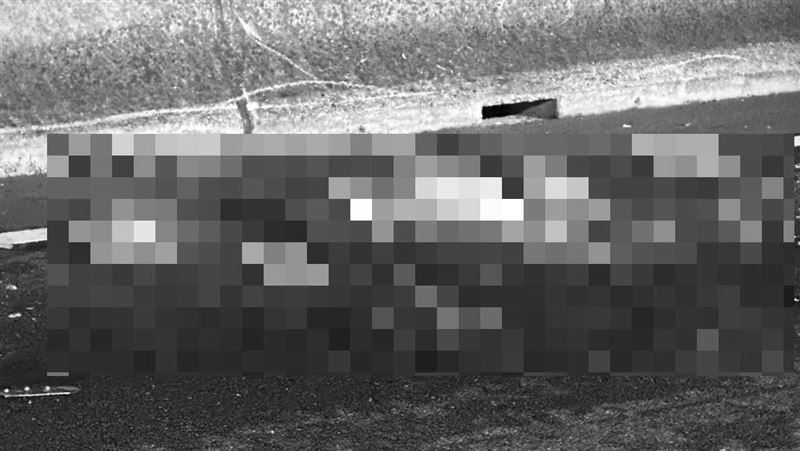 行人凌晨闖國道…遭2車撞輾肚破腸流亡