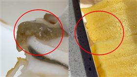 爭鮮,壽司,蛆(翻攝自 臉書)