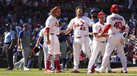 ▲紅雀、小熊賽後板凳清空。（圖／美聯社／達志影像）