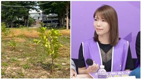 柯文哲,芭樂園,新竹,中央保安隊（圖／翻攝自《民眾之聲》YT）