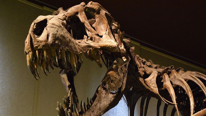 恐龍出現之前　是什麼巨型怪物統治地球？