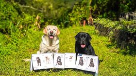 紀錄片長達8年的鏡頭，完整捕捉了警犬與領犬員間的親密羈絆。（圖／翻攝自新北市警犬隊臉書）