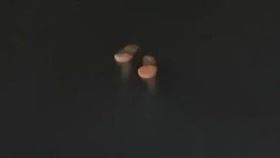 青蛙裝,雨鞋,倒插,搜救,溺水,釣客,彰化,烏龍（圖／鹿港消防分隊提供）