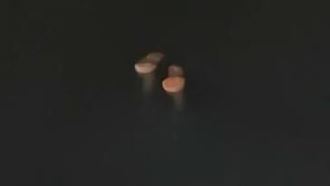 鹿港海堤驚見浮屍「雙腳倒插」消防傻眼了