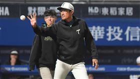 ▲台鋼雄鷹投手教練橫田久則。（圖／台鋼雄鷹提供） 