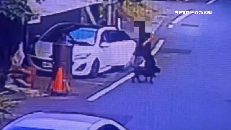 曾傷人！4犬再襲人狗　動保所挨轟沒處理