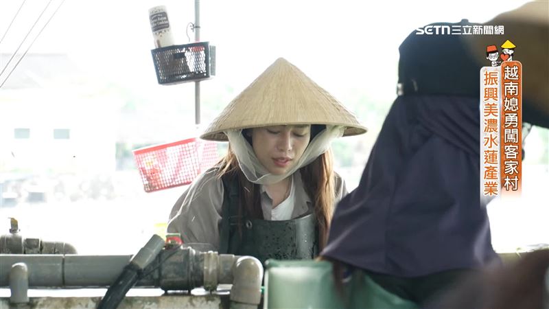 越南媳勇闖客家村　振興美濃水蓮產業