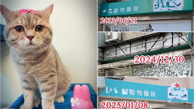 助理屢代獸醫治療被令停業　5天後竟重開