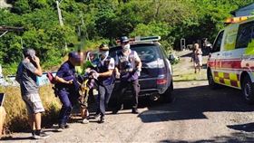 螫咬,蜜蜂,攻擊