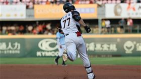 ▲統一獅林安可生涯百轟達陣。（圖／統一獅提供） 