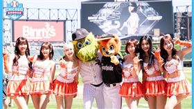 ▲統一獅吉祥物萊恩與白襪隊吉祥物南爪交換紀念品。（圖／統一獅提供）