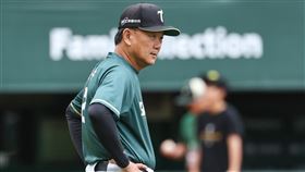 ▲台鋼雄鷹總教練洪一中。（圖／台鋼雄鷹提供） 