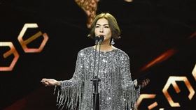 張清芳（圖／台視提供）