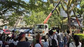 首頁 / 地方
羅大佑「童年」靈感宜蘭老樹 患褐根病死亡鋸除
2025/6/29 16:37（6/29 16:51 更新）
宜蘭縣文化景觀「宜蘭醫院老樹群」相傳是歌手羅大佑創作名曲「童年」靈感，其中1棵樟樹因患褐根病死亡，縣府近日舉辦環境教育活動，了解枯立木移除目的，觀察鋸除過程。（宜蘭縣樹藝景觀所提供）