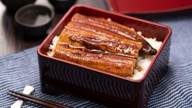 鰻魚數量近年銳減，被列為瀕危物種保護名單。（圖／iStock）