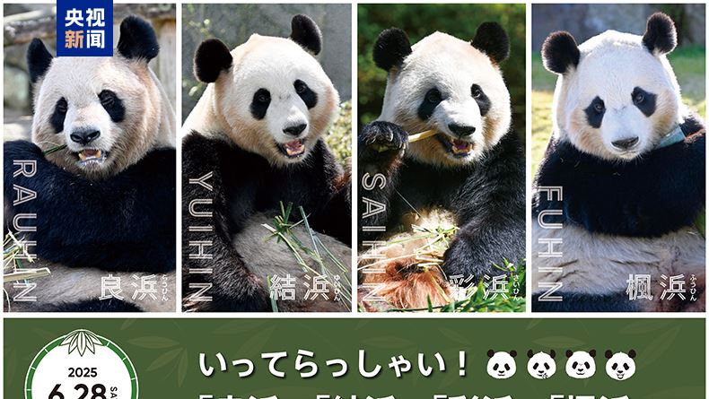 日本將4隻貓熊送回中國 圖／央視新聞