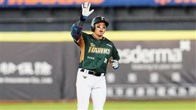 ▲台鋼雄鷹吳念庭。（圖／台鋼雄鷹提供） 