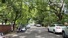 嚇！出遊光復新村　遇「螞蟻大軍」爬滿車