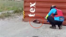 20噸貨櫃壓死女子！全身被壓扁⋯剩頭露出