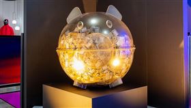 讓劇迷親身走進經典場景，象徵《魷魚遊戲》最後勝利的金豬撲滿，登陸台灣大西門町旗艦門市。（圖／品牌業者提供）