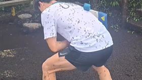 ▲首爾進入「愛情蟲」繁殖季，大量黑蟲充斥首爾市區和山區。（圖／翻攝自Thread @kimlark34）