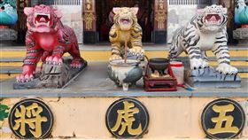 ▲農曆六月初六是虎爺生日！轉發虎爺生日消息有保庇，快準備這4樣供品拜祂，如虎添翼賺大錢。（圖／記者鍾志鵬攝影）