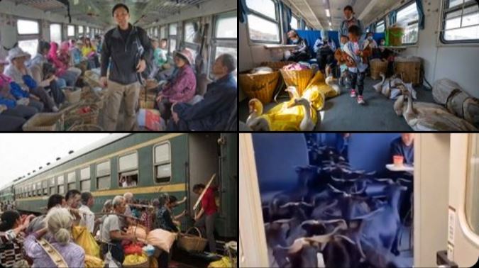 印度人「笑中國火車」被酸!他反擊了