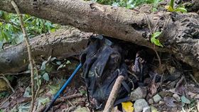 陽明山八煙步道旁被發現有一個詭異背包。（圖／翻攝自「登山通報站」臉書）