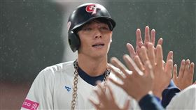 ▲世界棒球12強錦標賽，台灣隊外野手陳晨威。（圖／棒協提供）